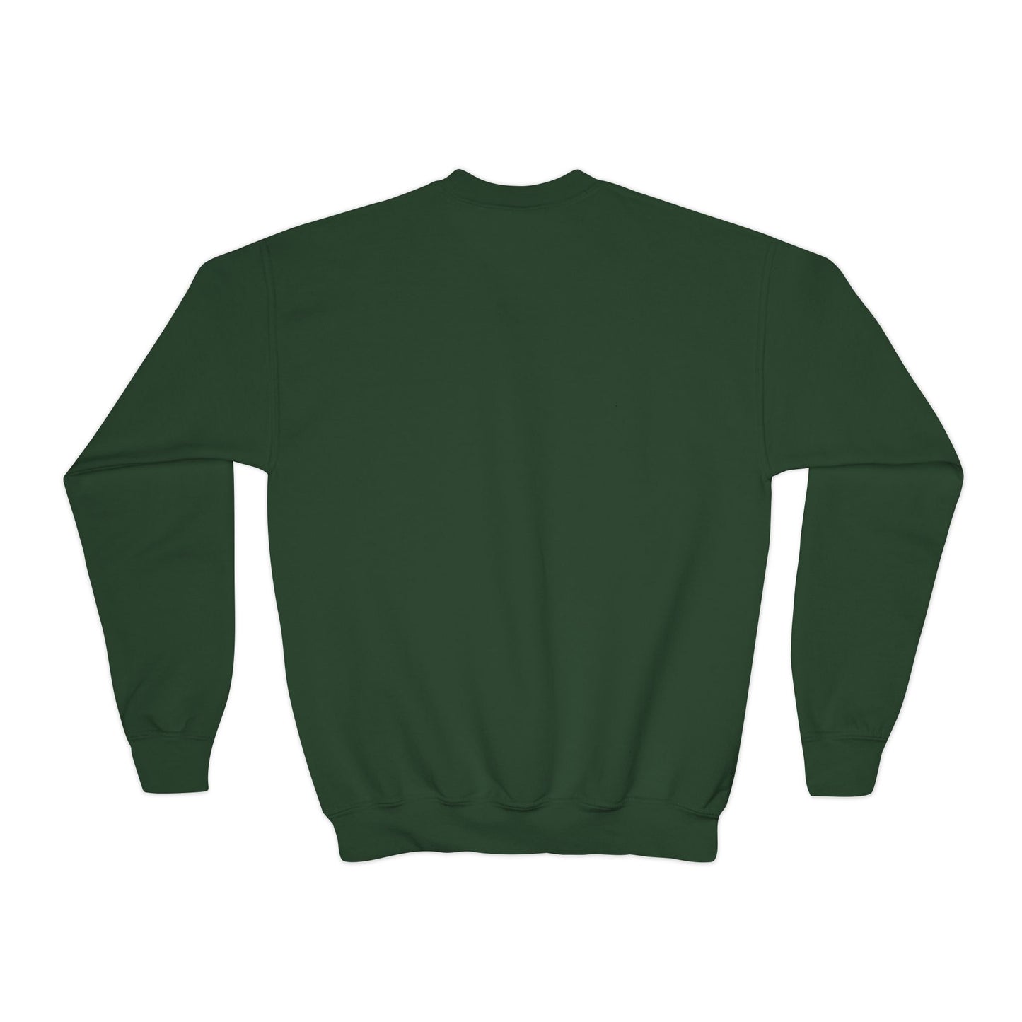 Youth Embroidered Sweatshirt