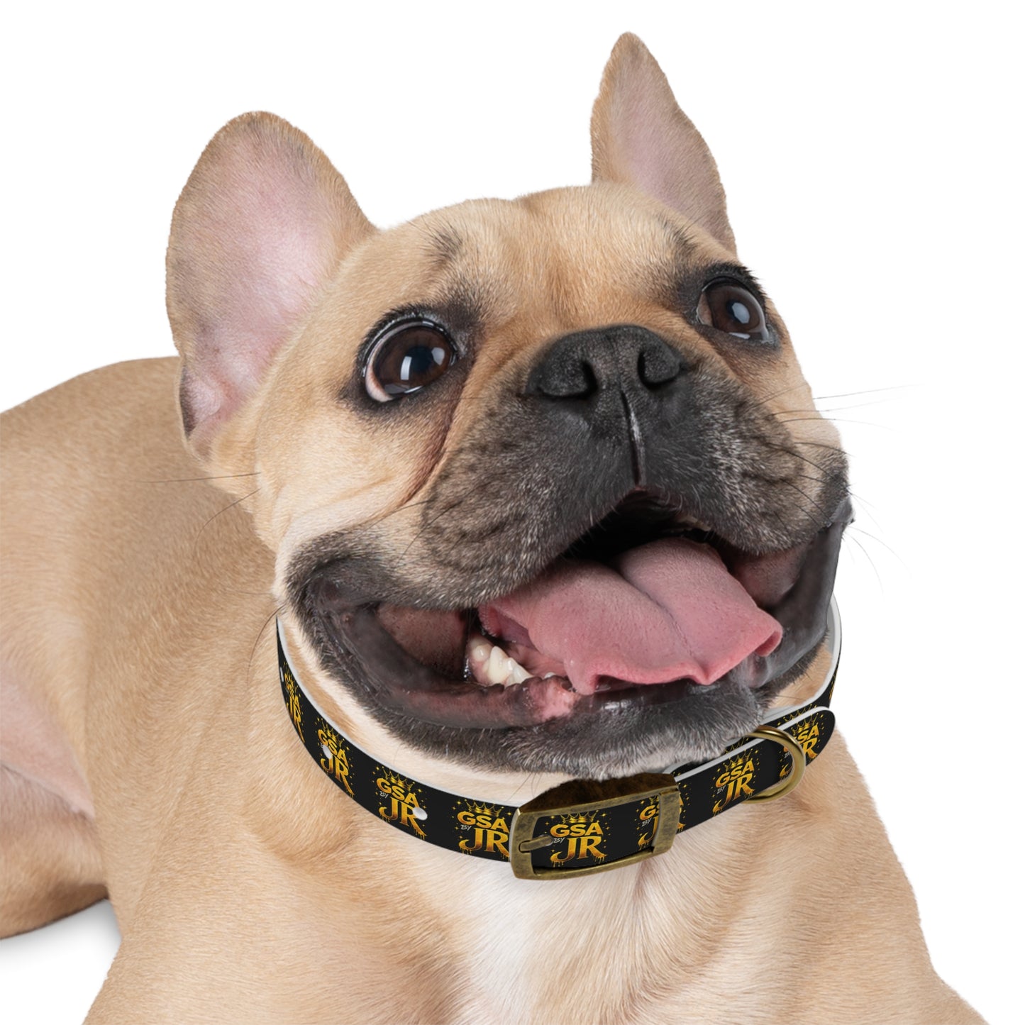GSA BY JR Dog Collar