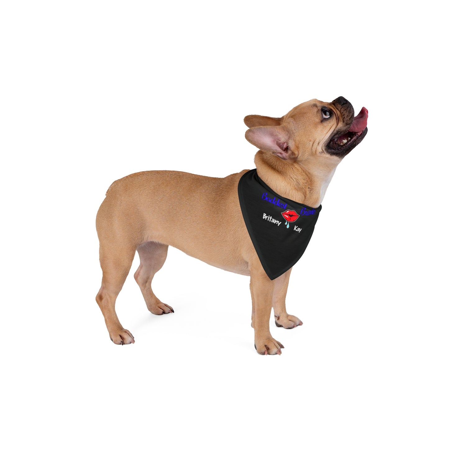 Baddest Brawler Dog Bandana