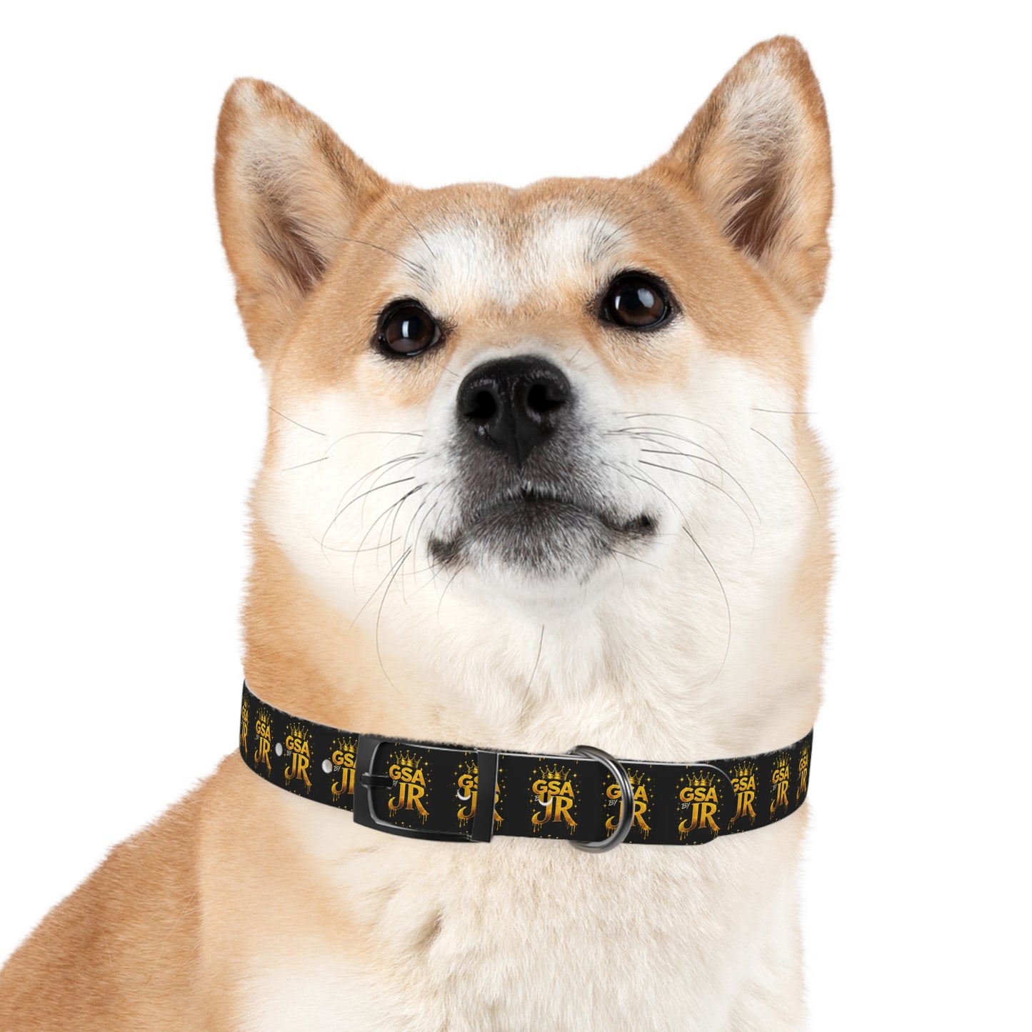 GSA BY JR Dog Collar