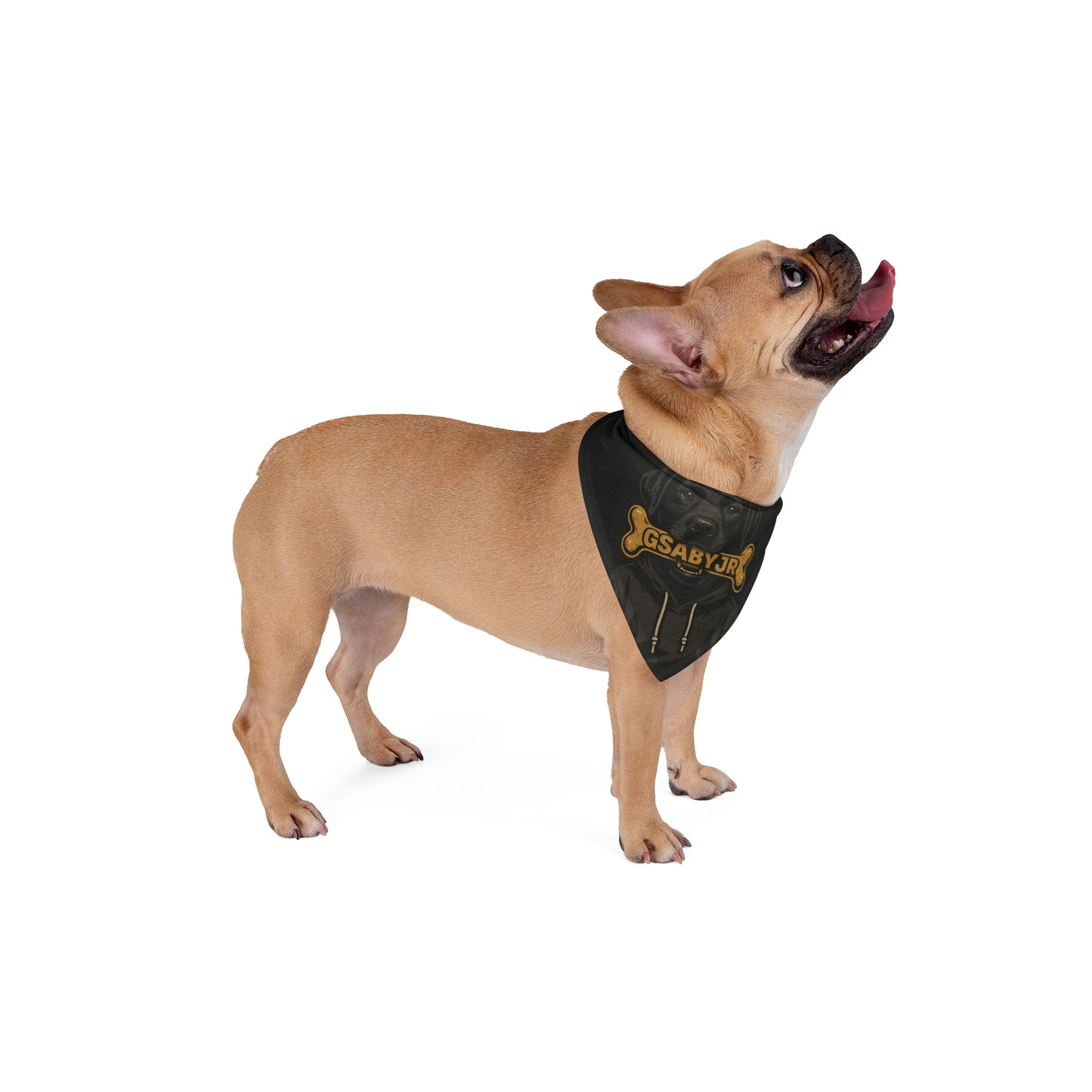 Dog Bandanas