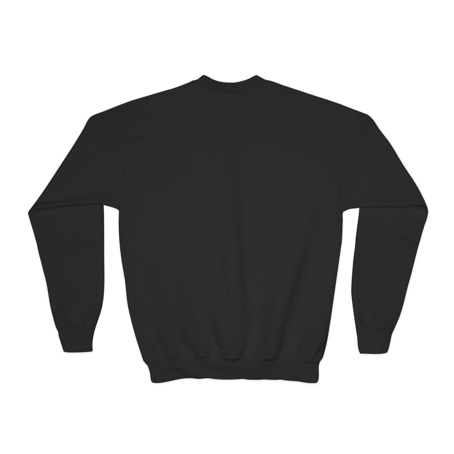 Youth Embroidered Sweatshirt