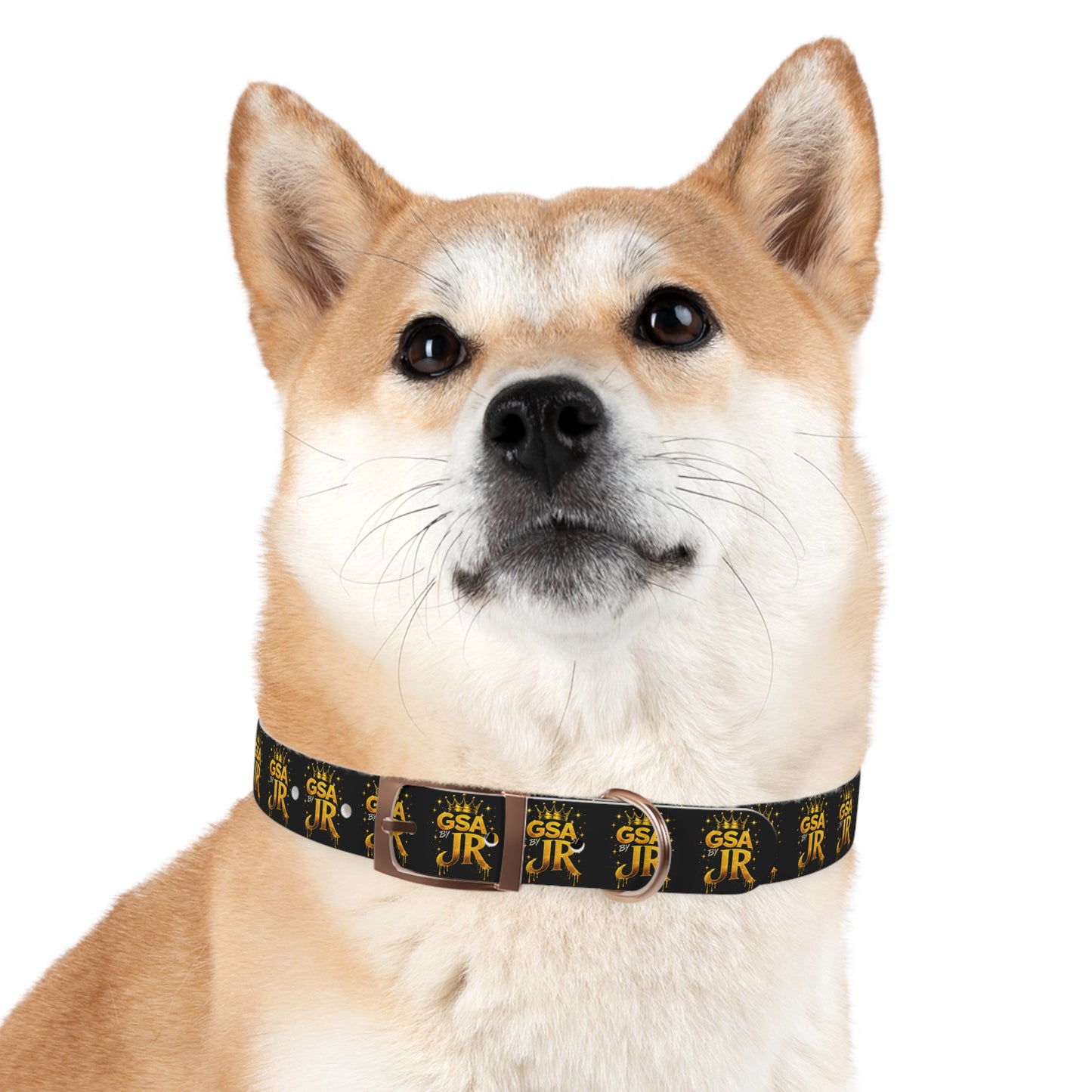 GSA BY JR Dog Collar
