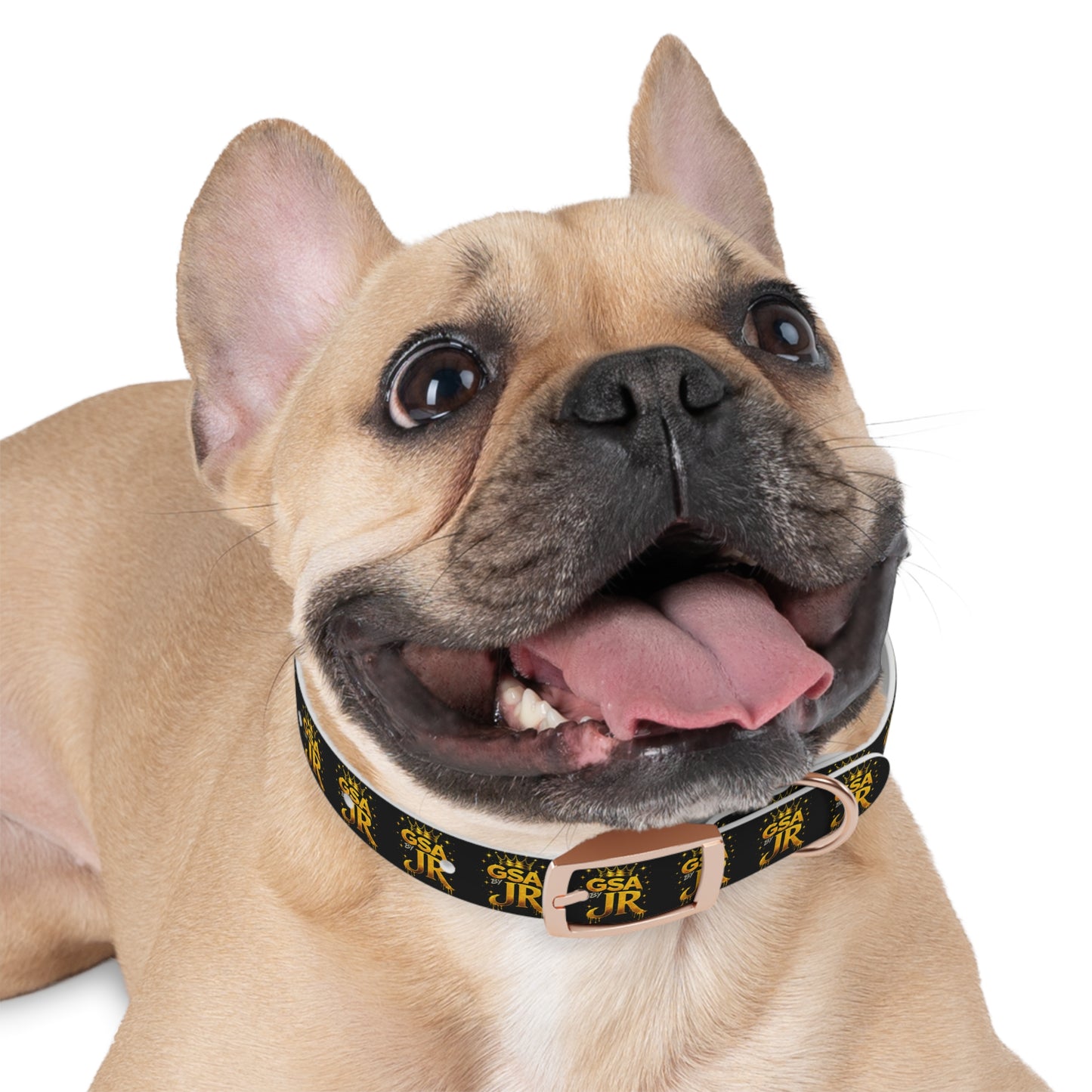 GSA BY JR Dog Collar