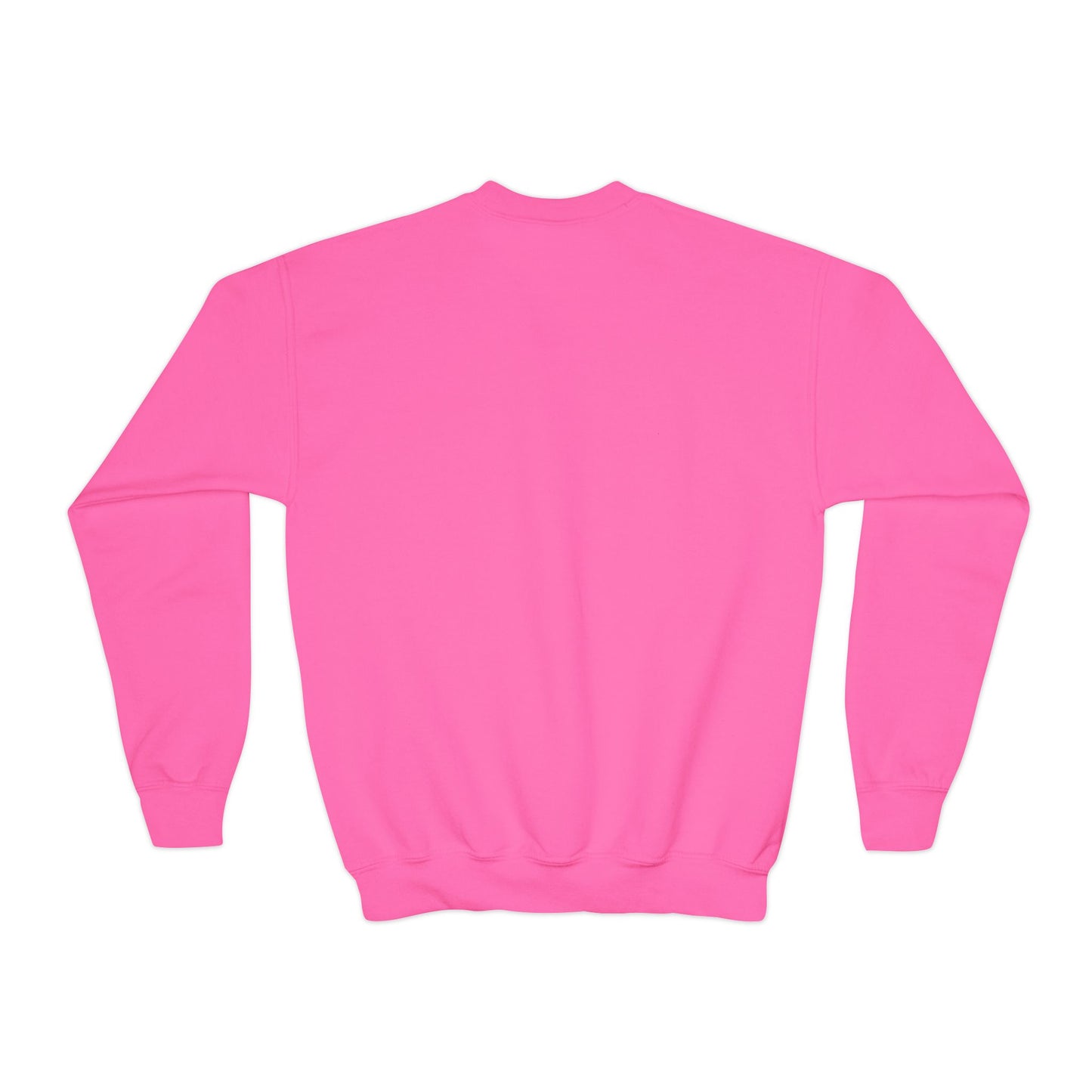 Youth Embroidered Sweatshirt