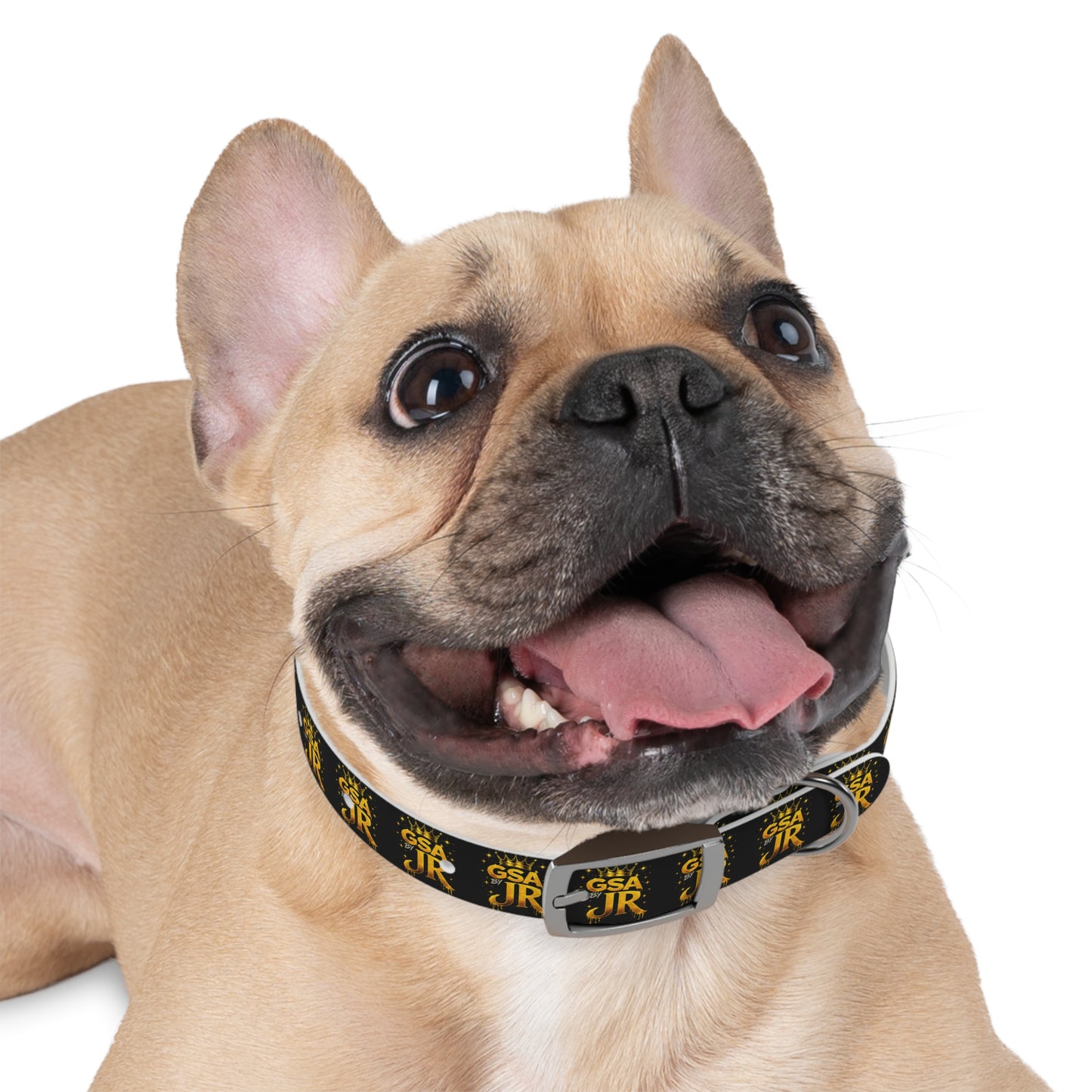 GSA BY JR Dog Collar