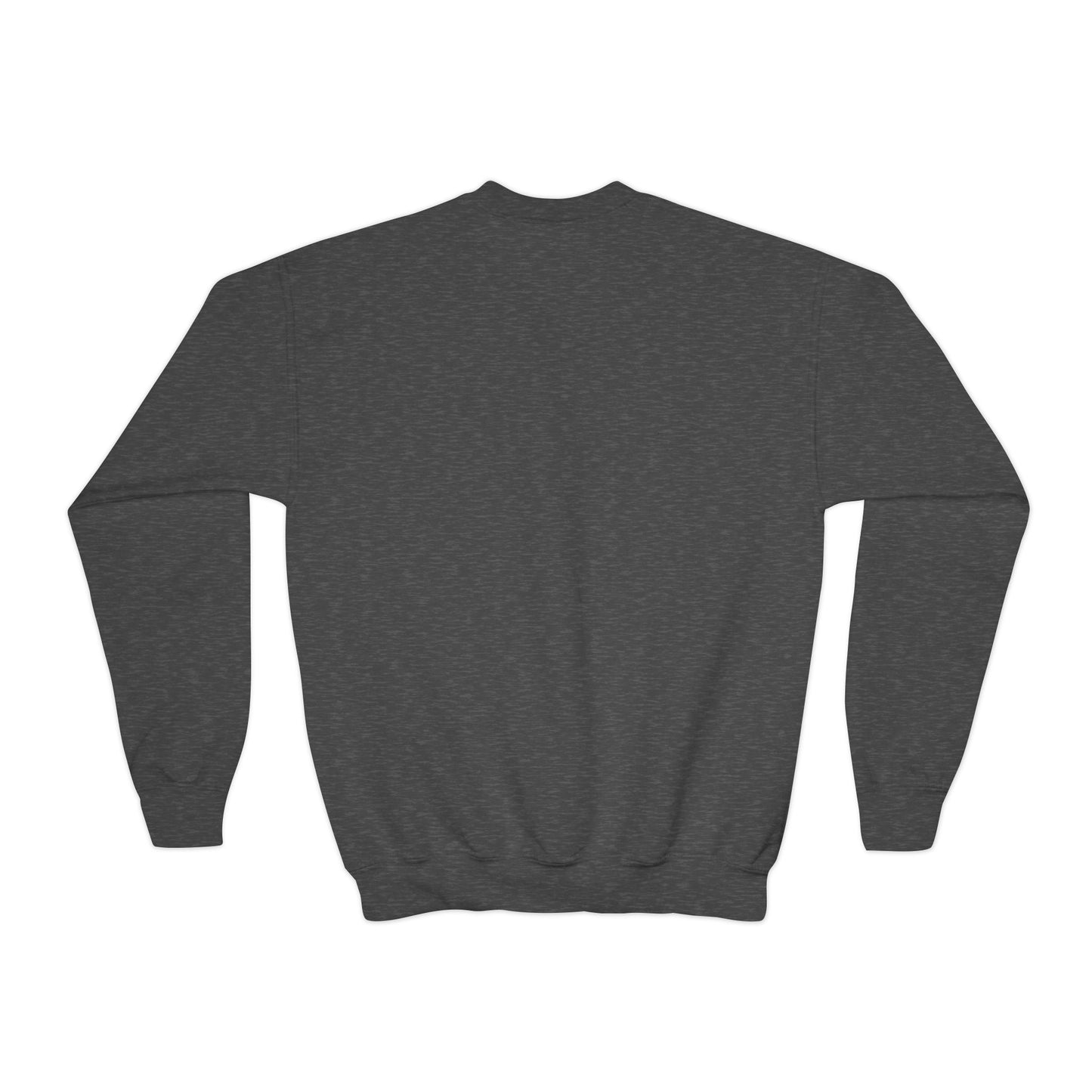 Youth Embroidered Sweatshirt