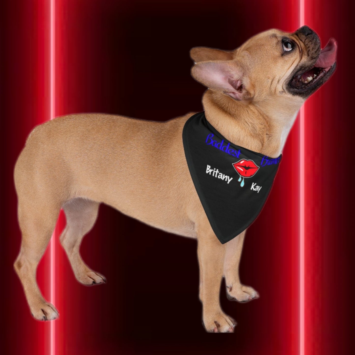 Britany Kay Pet Bandana