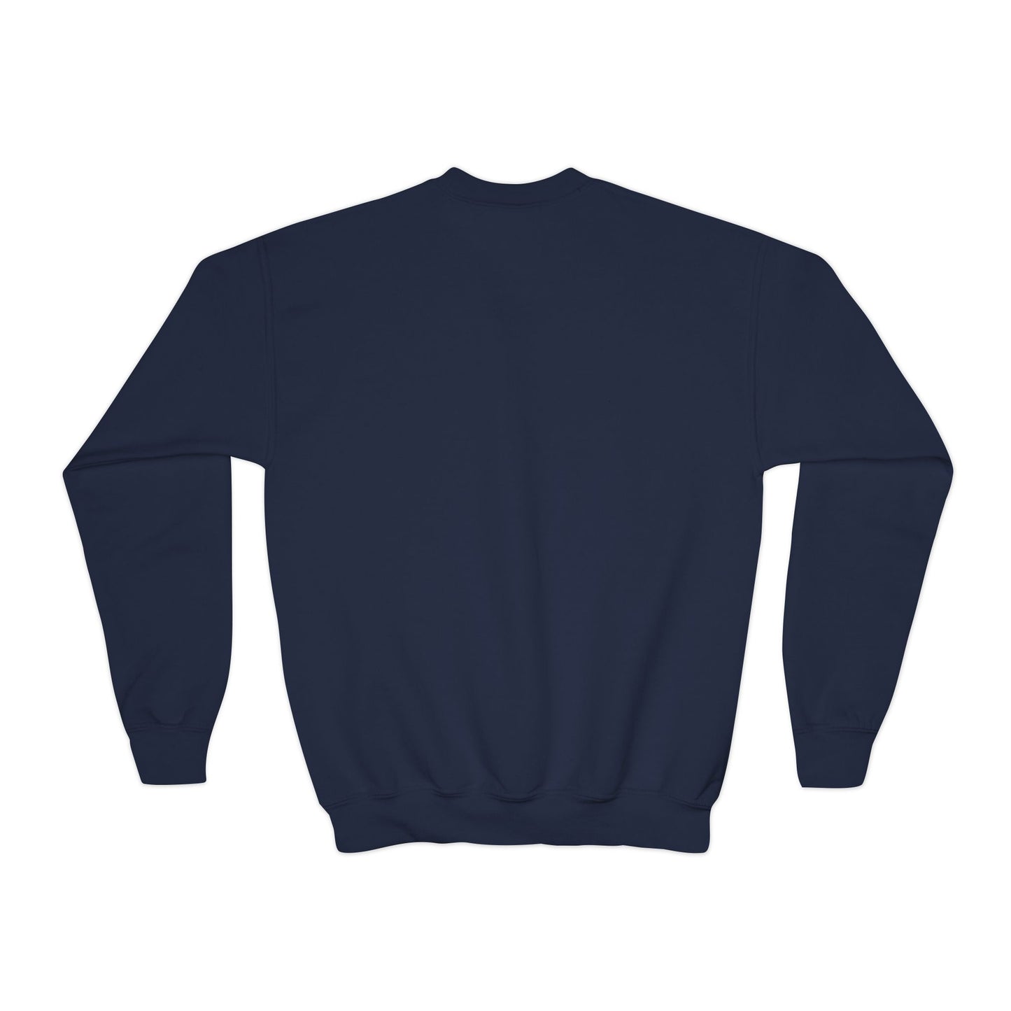 Youth Embroidered Sweatshirt