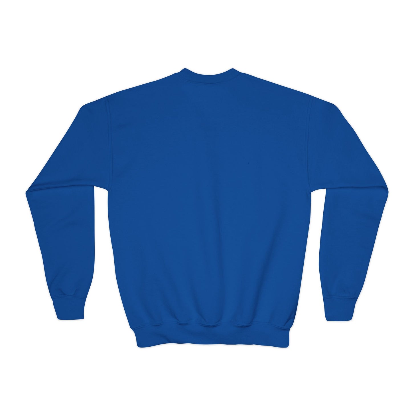 Youth Embroidered Sweatshirt