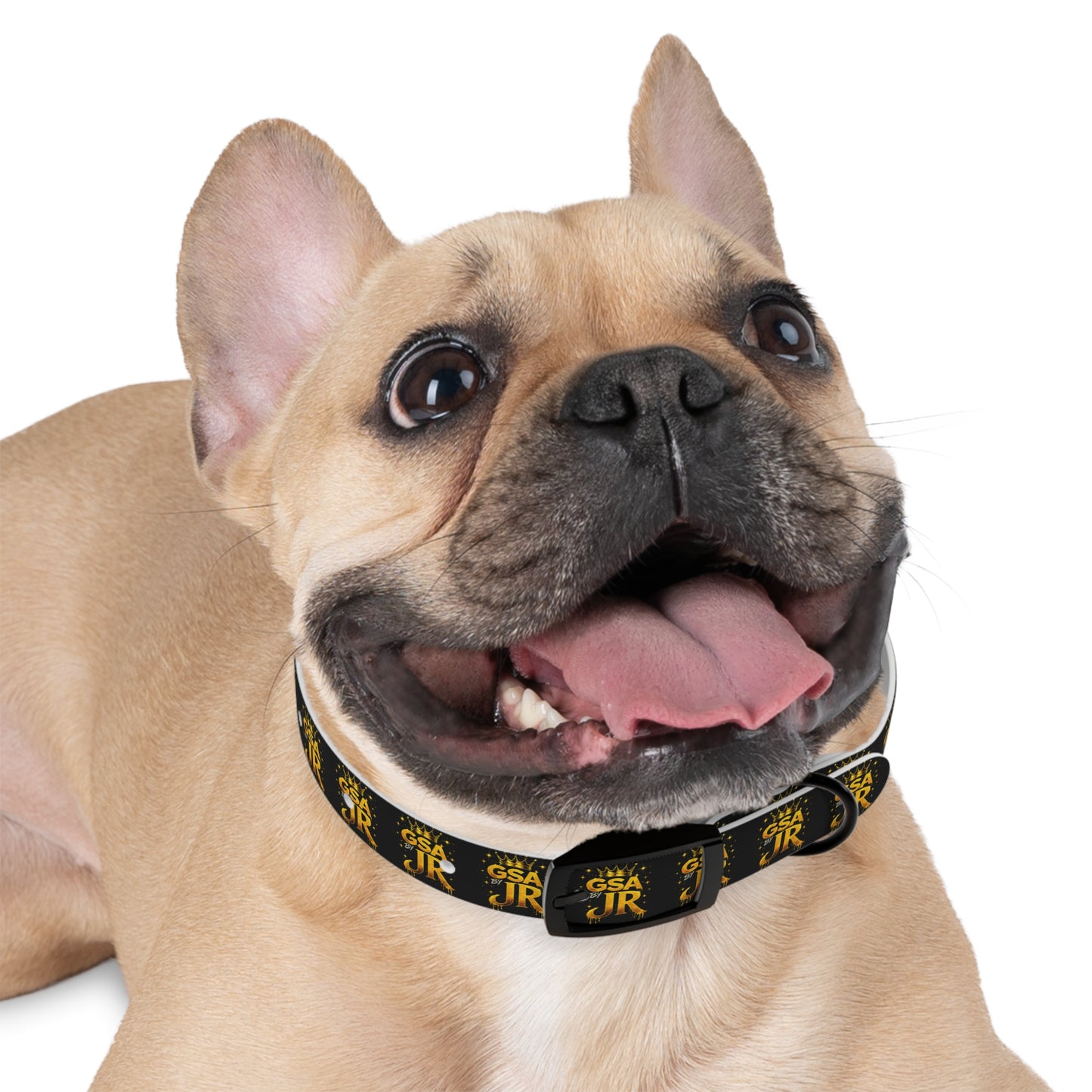 GSA BY JR Dog Collar