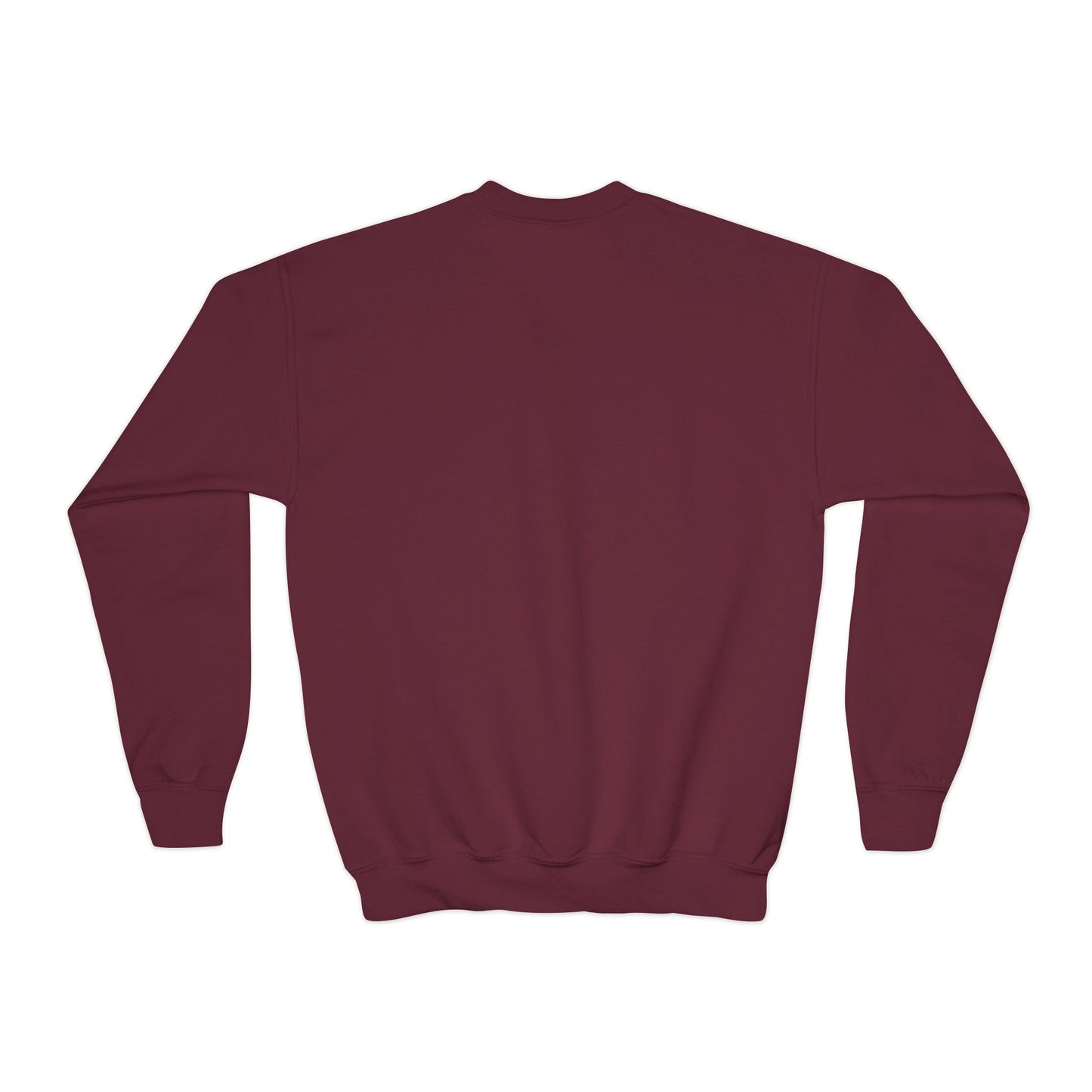 Youth Embroidered Sweatshirt