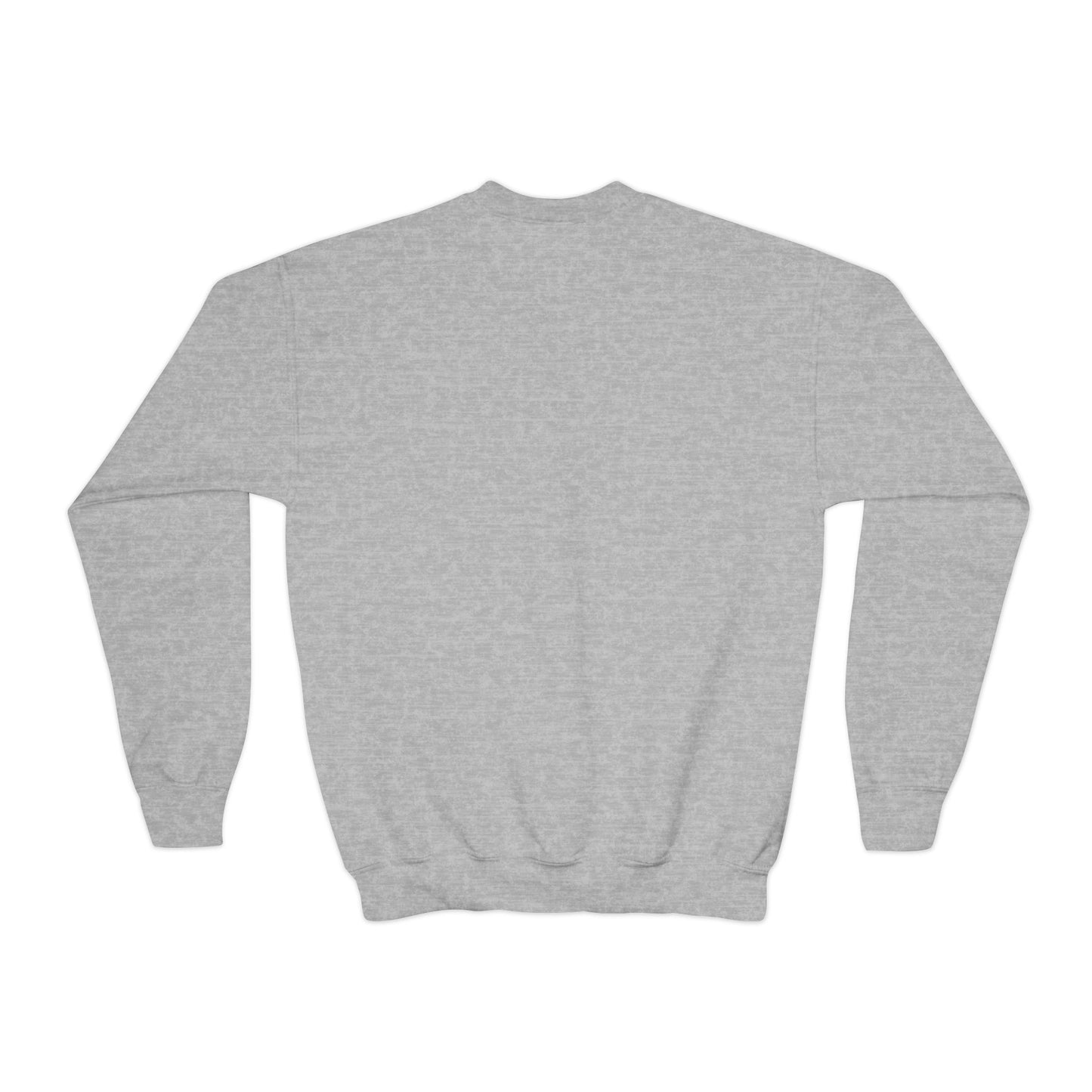 Youth Embroidered Sweatshirt