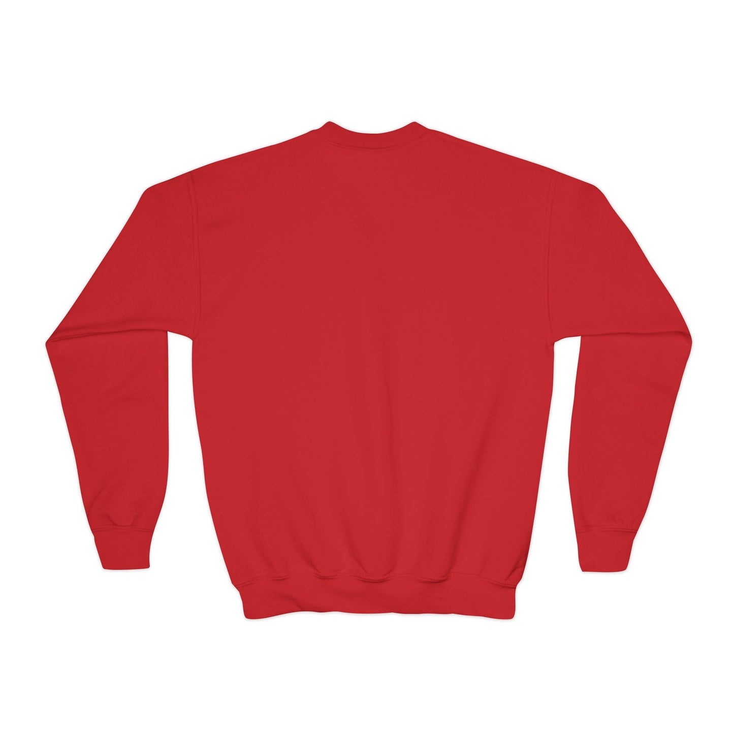 Youth Embroidered Sweatshirt