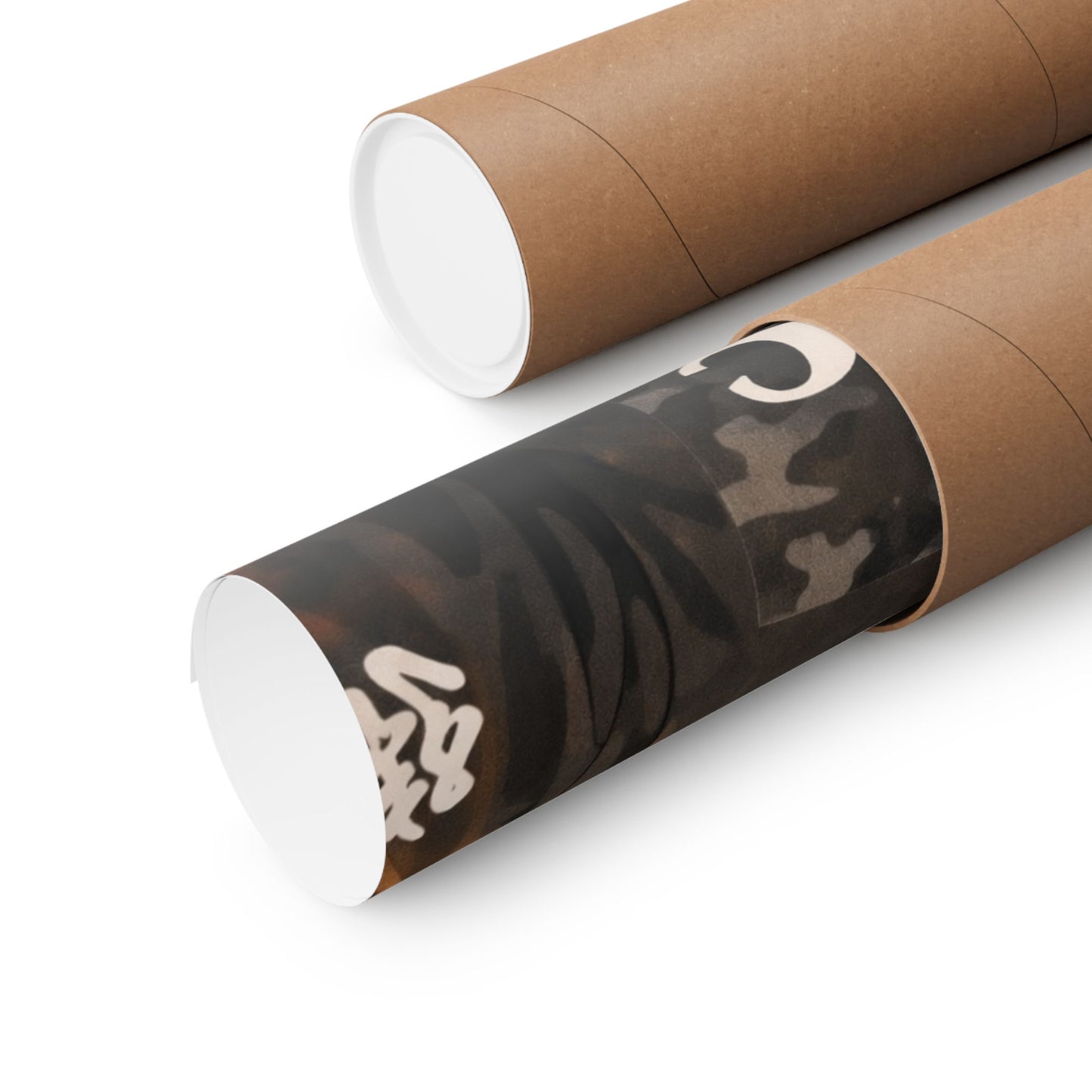 THE JROTC ANIME POSTER: TEGAN DRAZTIK