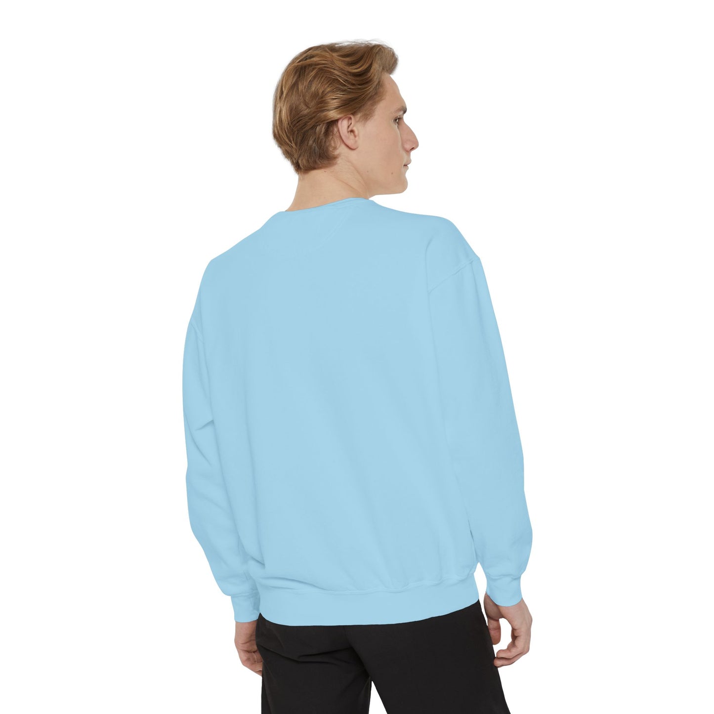 Unisex Sweat Shirt — Embroidered